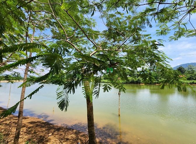 Hình ảnh Siêu phẩm siêu đẹp bám hồ, bám đường tại Lạc Sơn, Hòa Bình2 lô đất