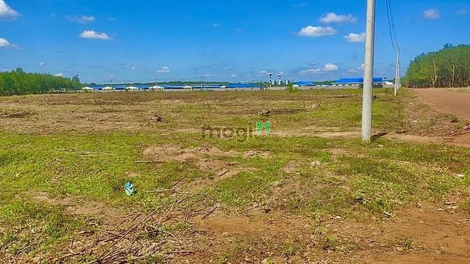 Hình ảnh Đất Sào giá ngọpLộc Ninh chỉ 450tr/1000m2