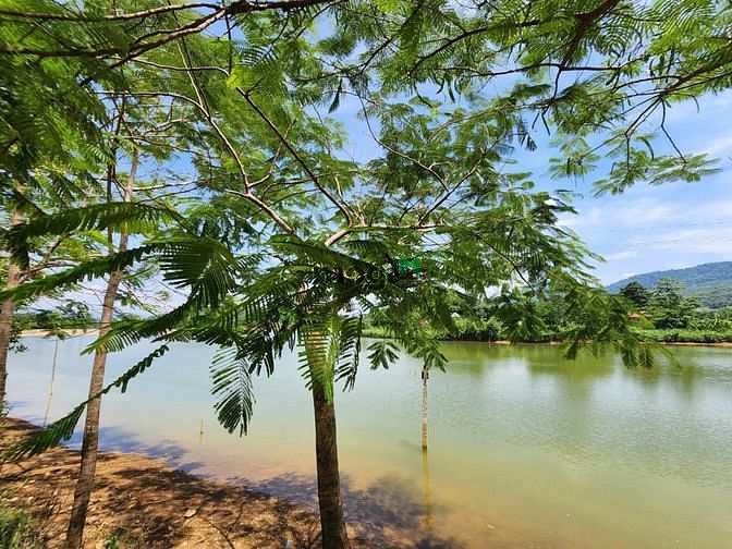 Hình ảnh Đất Bám Hồ Siêu rẻ chỉ 280tr cực đẹp cần bán Gấp Lạc Sơn Hòa Bình