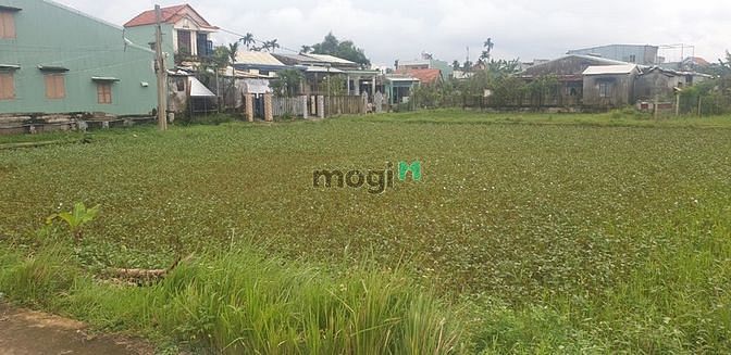 Hình ảnh Đất nền giá rẻ Điện Phước,Điện Bàn, Quảng Nam