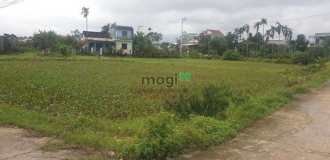 Hình ảnh Đất nền giá rẻ Điện Phước,Điện Bàn, Quảng Nam