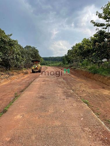Hình ảnh Bán đất UBND Tân Lợi ,5x50m 100m2 thổ cư