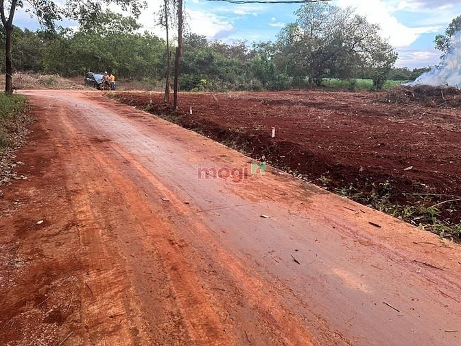 Hình ảnh Bán Đất Lộc Ninh 20m mặt tiền Đường bê tông liên xã