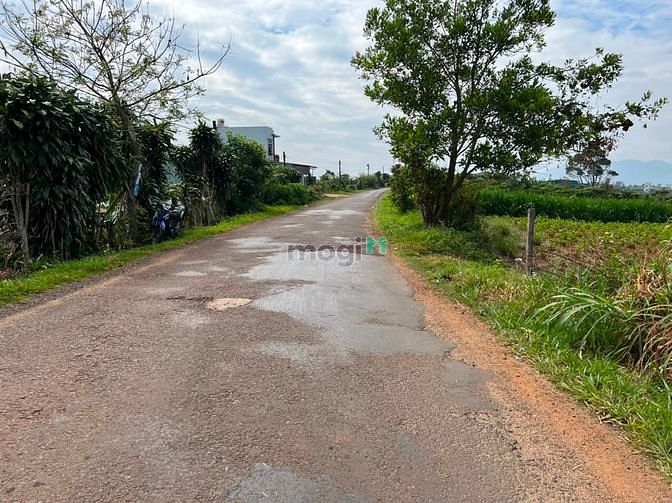 Hình ảnh Bán 4,8 sào đất Mặt Tiền Trần Nhật Duật, DamBri