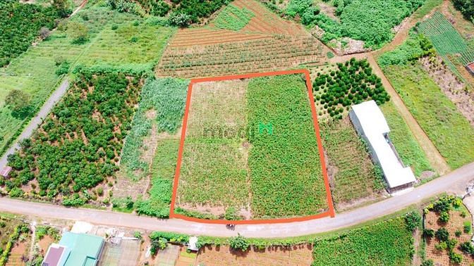 Hình ảnh Bán 4,8 sào đất Mặt Tiền Trần Nhật Duật, DamBri