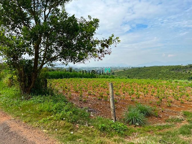 Hình ảnh Bán 4,8 sào đất Mặt Tiền Trần Nhật Duật, DamBri