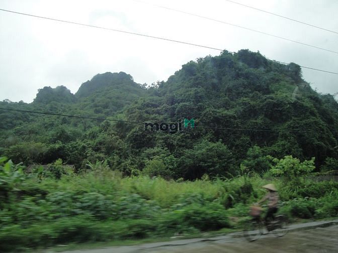 Hình ảnh Nhà 2 tầng, diện tích 25m2, cho thuê