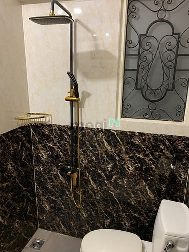Hình ảnh Cho thuê chung cư Trịnh Khắc Lập Quận 2 gần Chợ Công Thành_Bình Trưng