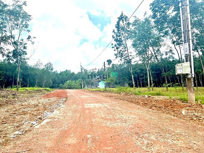 Hình ảnh Đất mặt tiền KCN Becamex Đồng Phú 5x50m 100m2 thổ cư