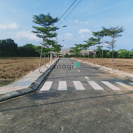 Hình ảnh Bán Đất Trong Làng Bưởi Tân Triều - Đồng Nai