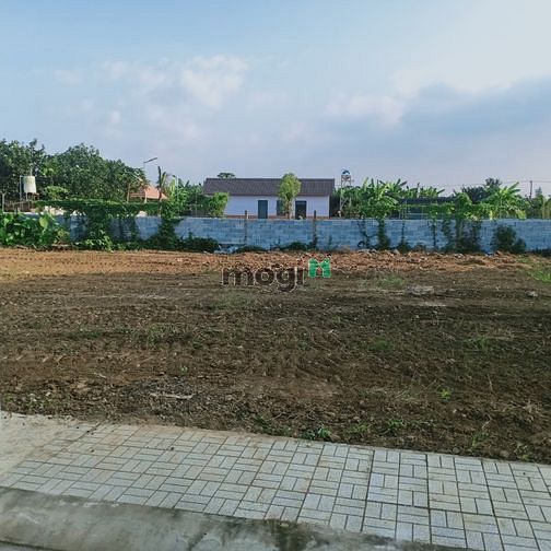 Hình ảnh Bán Đất Trong Làng Bưởi Tân Triều - Đồng Nai