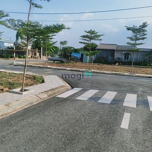 Hình ảnh Bán Đất Trong Làng Bưởi Tân Triều - Đồng Nai