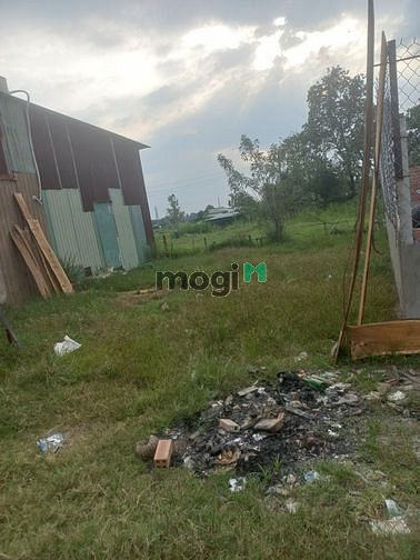 Hình ảnh Bán Gấp 2Lô Đất  50m2 350Tr, 75m2 Giá 650Tr Tp Biên Hoà.