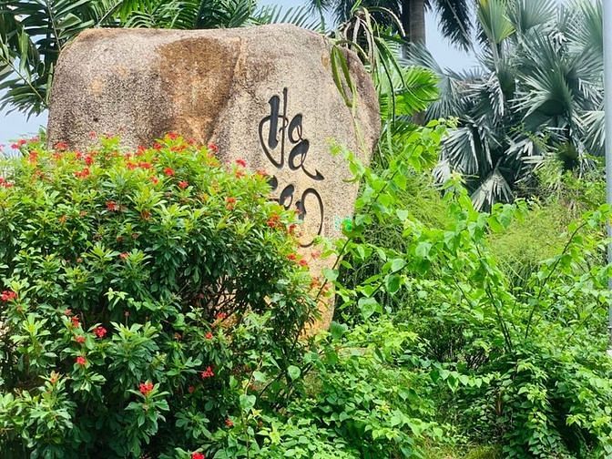 Hình ảnh Khuôn đất góc 2MT Giang Văn Minh, An Phú Quận 2, 25x68, 150tr/m2 TL