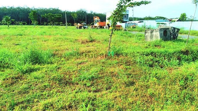 Hình ảnh Sắp tết em cần ra lô đất để ăn tết