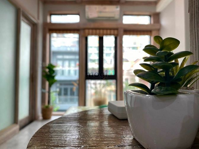 Hình ảnh Studio decor thiên nhiên với tông gỗ xám cực xinh