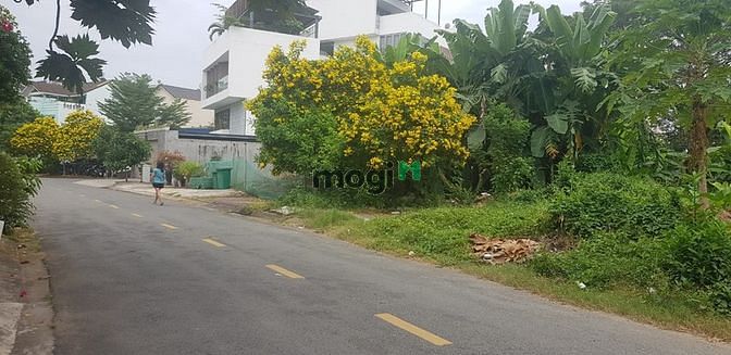 Hình ảnh Lô Đất Biệt Thự 205.4m2 (DT:11x19m) Đường 31A Khu C An Phú-An Khánh,Q2