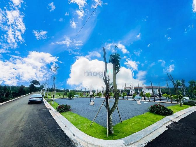 Hình ảnh PalmGarden - Gía rẻ - nhiều ưu đãi - đã có sổ