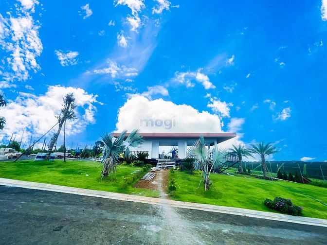 Hình ảnh PalmGarden - Gía rẻ - nhiều ưu đãi - đã có sổ