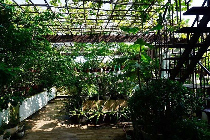 Hình ảnh Biệt thự hồ bơi Nguyễn Trọng Tuyển Tân Bình ngang 9.5m nở hậu 10,5m