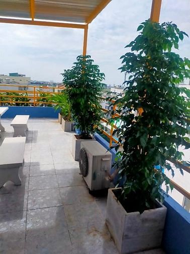 Hình ảnh Phòng Trọ Mới Khai Trương Chỉ Tính Điện Nước, Dịch Vụ Miễn Phí