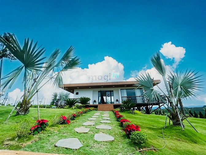 Hình ảnh Bán đất dự án Bảo Lộc giá rẻ có pháp lí rõ ràng