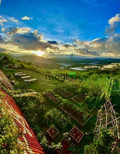 Hình ảnh Khu nghỉ dưỡng view săn mây ngoại ô TP Đà Lạt