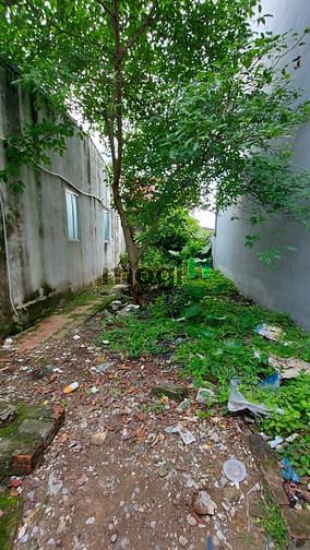 Hình ảnh Bán đất 59m2 sdcc siêu quần, tả thanh oai, thanh trì, hà nội