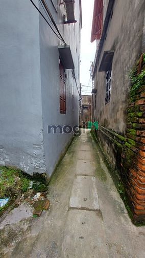 Hình ảnh Bán đất 59m2 sdcc siêu quần, tả thanh oai, thanh trì, hà nội