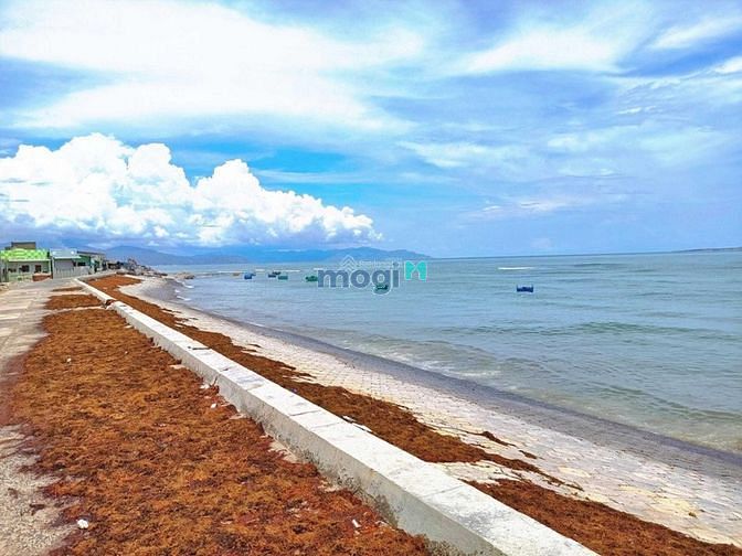 Hình ảnh Bán Đất nền Biển sổ đỏ KDC Phước Thể huyện Tuy Phong Bình Thuận chỉ hơ