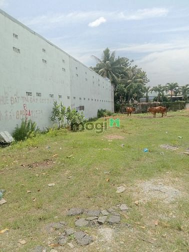Hình ảnh Đất đẹp, thổ cư ngay tại thị xã Bến Cát