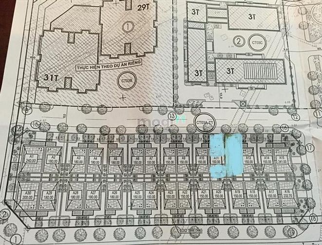 Hình ảnh Biệt thự Ciputra150m2, hướng Bắc, 34.5 tỷ