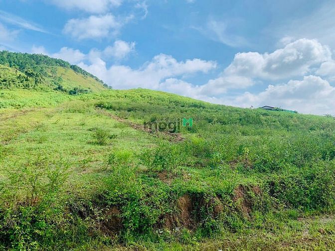 Hình ảnh Bán đất hơn 1,1 sào Mặt tiền đường nhựa Dam Bri, Bảo Lộc