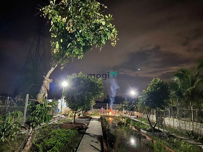 Hình ảnh Hơn 4 tỷ, có 5300m đất Phước Thạnh, Củ Chi, đường xe hơi 7m