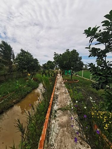 Hình ảnh Hơn 4 tỷ, có 5300m đất Phước Thạnh, Củ Chi, đường xe hơi 7m