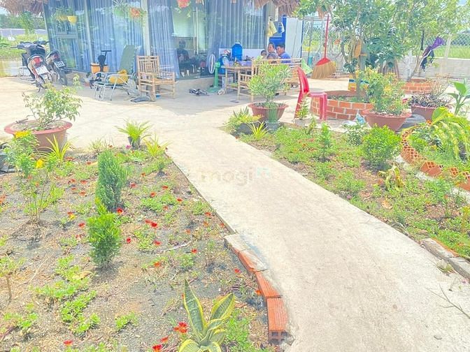 Hình ảnh Hơn 4 tỷ, có 5300m đất Phước Thạnh, Củ Chi, đường xe hơi 7m