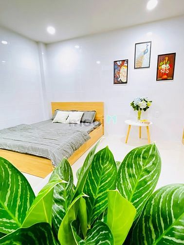 Hình ảnh Phòng Studio ngay Công trường Mê Linh giá siêu Hạt dẻ.