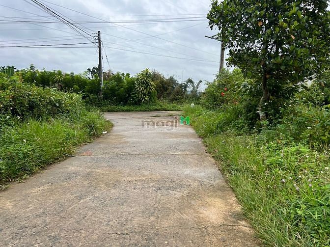 Hình ảnh Bán lô đất gần 4 sào, có suối, xã Đại Lào gần ql20, Bảo Lộc
