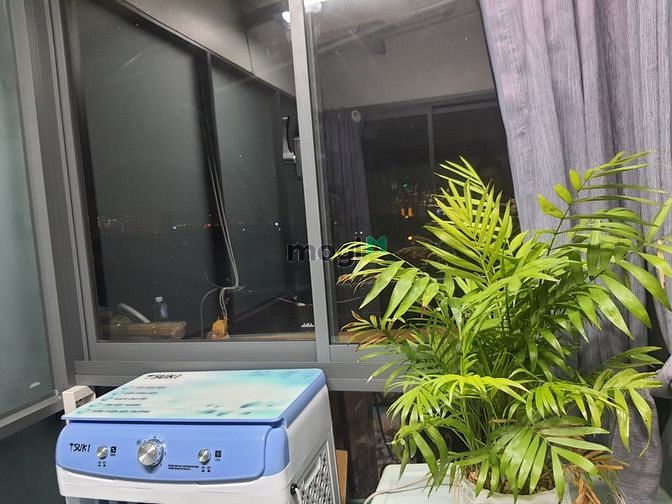 Hình ảnh Cho thuê phòng bungalow cao cấp giá 1tt6