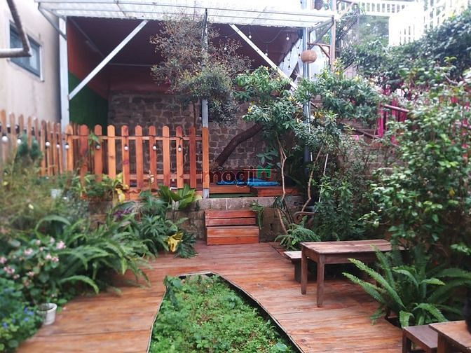 Hình ảnh Cần sang quán CAFE xinh - Đà Lạt