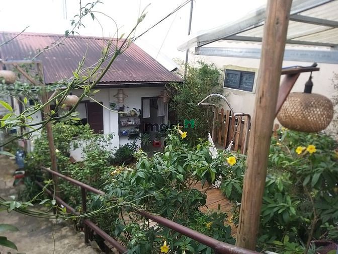 Hình ảnh Cần sang quán CAFE xinh - Đà Lạt