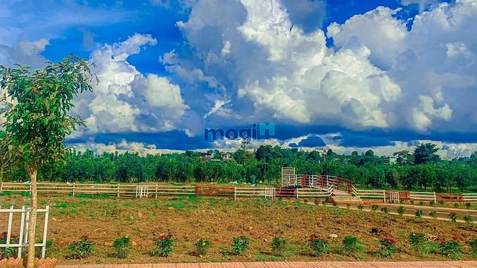 Hình ảnh bán đất đẹp rẻ ngay trung tâm lộc quảng bảo lâm