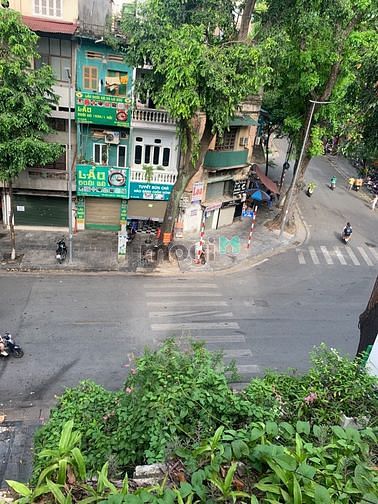 Hình ảnh Cho thuê biệt thự mặt phố Lò Đúc 500m2