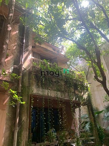 Hình ảnh Cho thuê biệt thự mặt phố Lò Đúc 500m2
