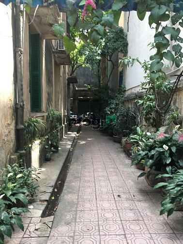 Hình ảnh Cho thuê biệt thự mặt phố Lò Đúc 500m2
