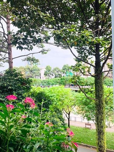 Hình ảnh 🔥🔥🔥Căn Hộ View Sông Hoàng Sa_Quận 1_Gần Landmark 81
