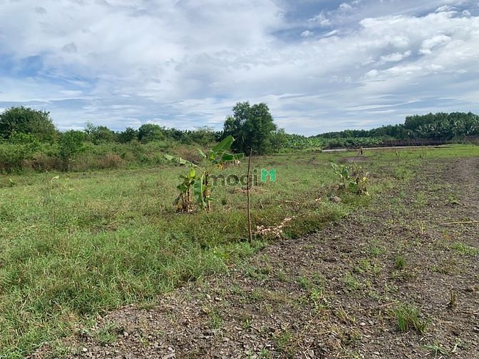 Hình ảnh Đất vườn trung tâm thị trấn Vĩnh An
