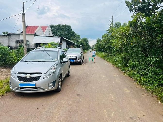 Hình ảnh CHỦ NGỘP ! BÁN ĐẤT TẶNG NHÀ (+ vườn cao su, tiêu)