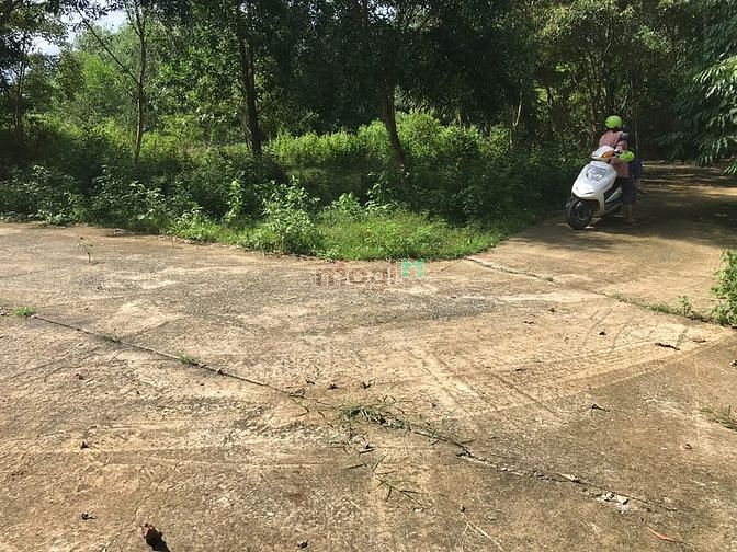 Hình ảnh Hưởng trọn không khí trong lành của đất Phú Quốc
