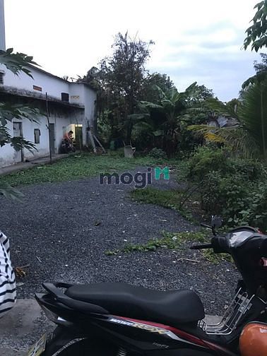Hình ảnh Bán gấp đất, 159m2 ( Full thổ ), an phú đông 9, quận 12, chỉ 6 tỷ 700